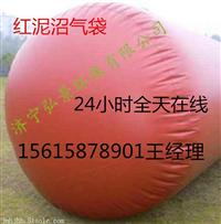  浙江红泥沼气袋-使用年限--红泥软体沼气池发展