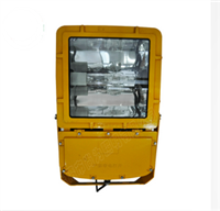 SW8110 防爆泛光灯,SW8110尚为厂家，SW8110浙江有卖